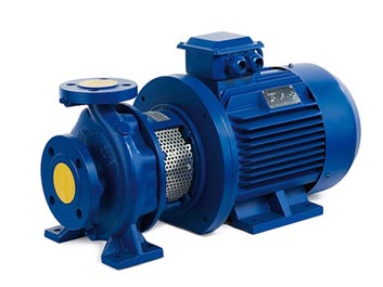 Raw Water Pump